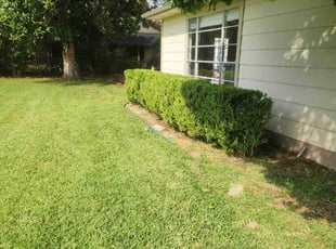 Luke Z.'s Bush Trimming service result