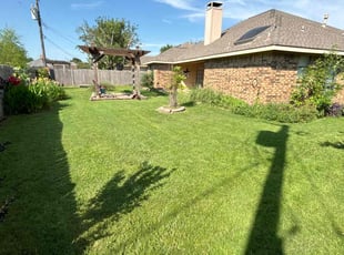 Cindy S.'s turf care service result