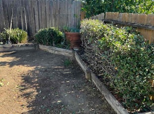 Joe S.'s turf maintenance service result