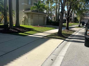 Susan V.'s turf care service result