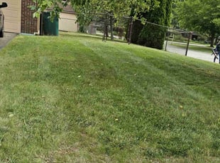 Walter H.'s lawn care services service result