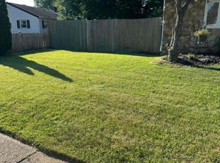Haofan P.'s lawn service service result