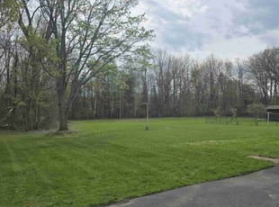 Nadine D.'s turf maintenance service result