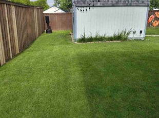 Donna C.'s landscaping services service result