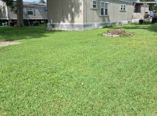 Jordan F.'s turf care service result
