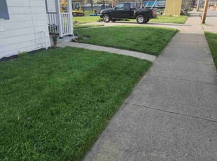 Josh G.'s lawn care services service result
