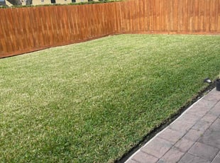Neyshmi S.'s lawn care service result