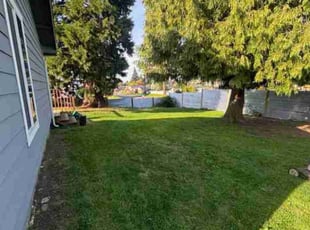 Steve V.'s turf care service result