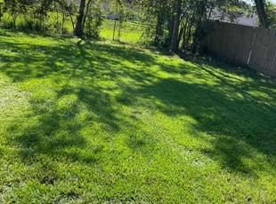 Keven N.'s landscaping service result