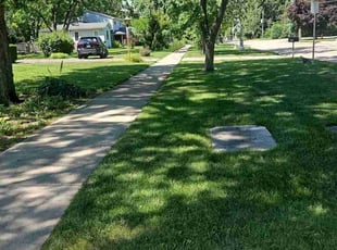 Roger D.'s lawn care service result
