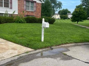 Freda W.'s lawn care service result