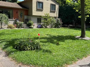 Shaunda W.'s lawn care service result