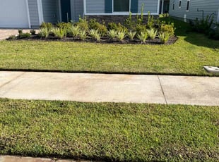 Sabrina S.'s lawn maintenance service result