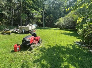 Linus B.'s Long Grass Cleanup service result