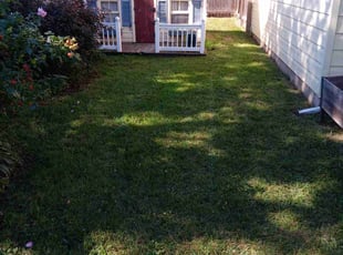 Deborah W.'s lawn service service result