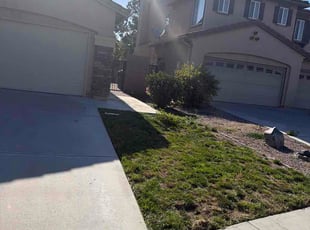 Alese C.'s grass cutting service result