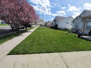 Lisa S.'s grass cutting service result