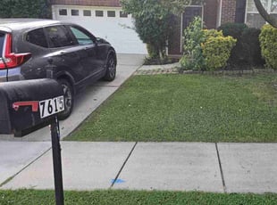 Denise J.'s turf maintenance service result