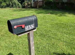 Darrin C.'s lawn care service result