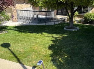 Shani C.'s lawn care services service result