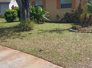 Valerie F.'s lawn care service result