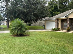 Rise C.'s grass maintenance service result