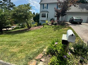 Mary B.'s landscape maintenance service result