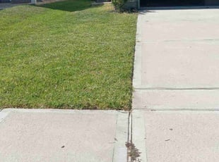 Peter D.'s turf maintenance service result