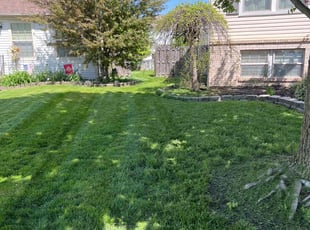 Mark O.'s lawn service service result