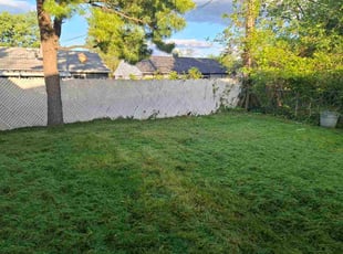 Deane C.'s Long Grass Cleanup service result