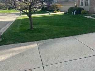 Jean C.'s turf care service result