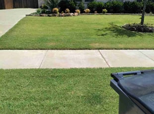 Shannon L.'s turf care service result