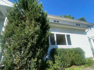 Shellise C.'s Bush Trimming service result