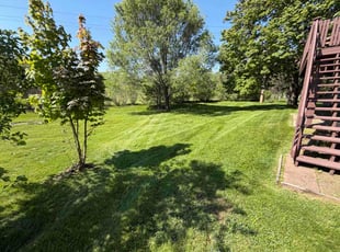 Greg G.'s lawn care service result