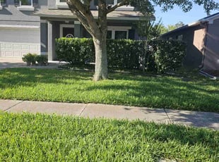 George R.'s turf care service result