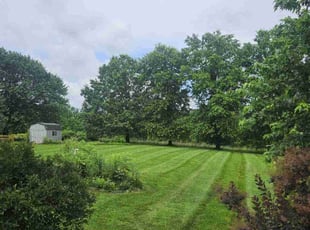 Zach N.'s turf maintenance service result