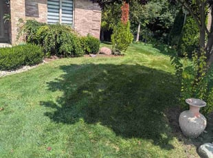 Rocco P.'s lawn service service result