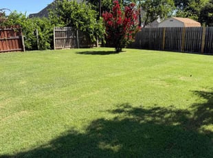 Keri B.'s grass maintenance service result