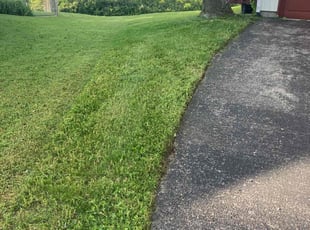 Kenya P.'s turf care service result