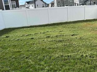 Marrien B.'s grass cutting service result