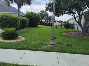 Megan M.'s lawn care service result