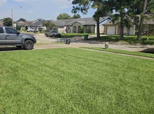 Lorraine M.'s lawn maintenance service result