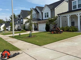 Dominique A.'s lawn service service result
