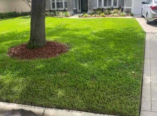 Aj K.'s grass cutting service result