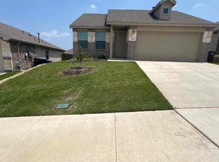 Tammy K.'s turf care service result