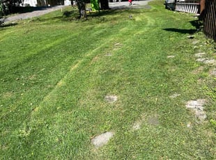 Danny T.'s grass cutting service result