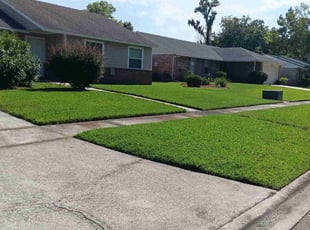 Jeffery E.'s grass maintenance service result