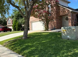 Sandra T.'s lawn maintenance service result