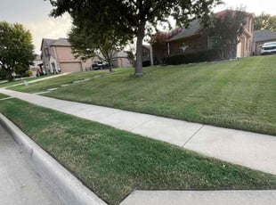 Josh M.'s grass maintenance service result