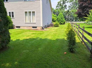 Tyler M.'s lawn service service result